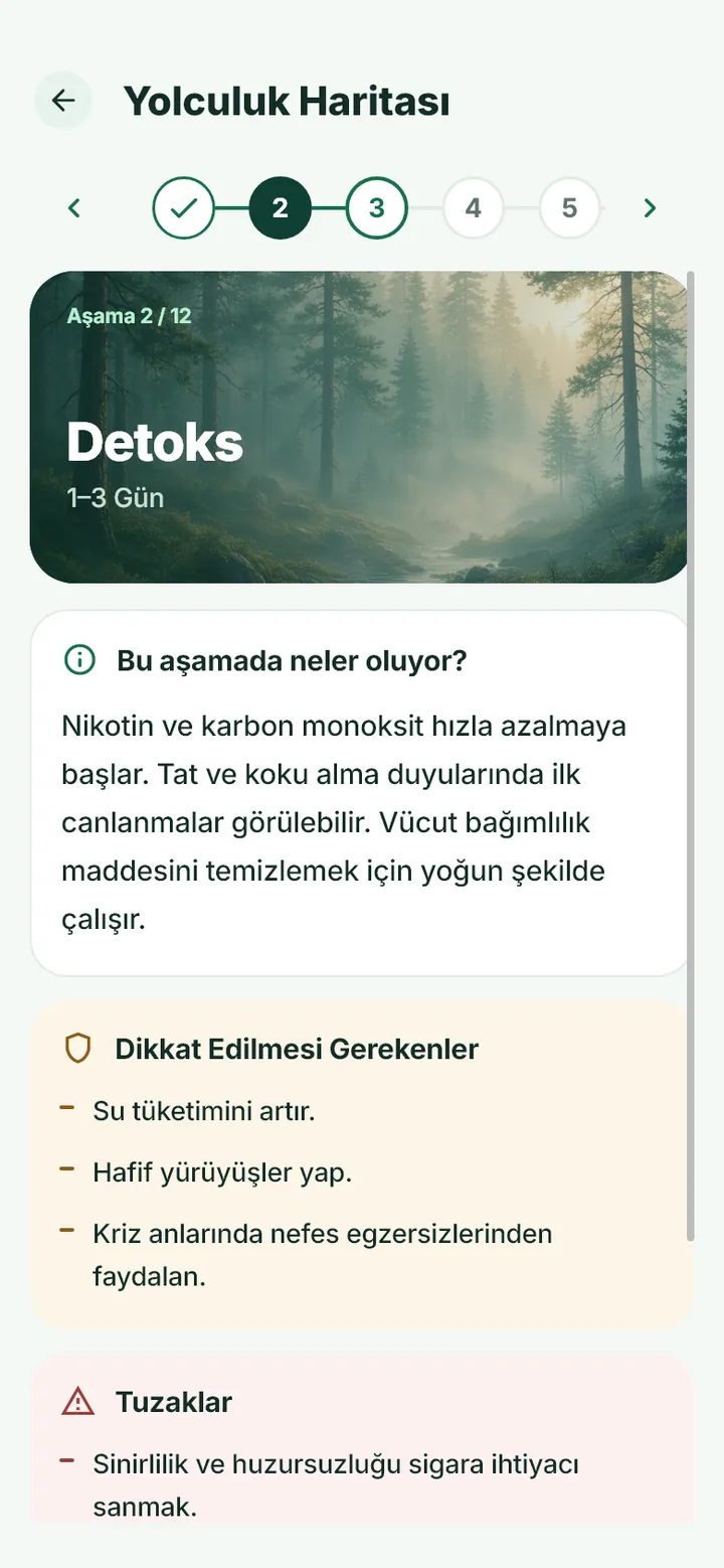 Sigara Savar Yolculuk ekranında bırakma sürecinin ilk günleri
